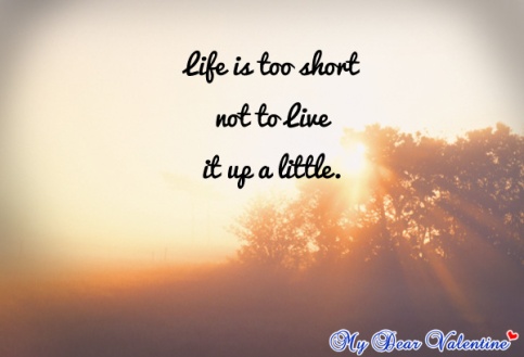 cute-life-quotes-life-is-too-short-not